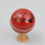 Four Signed Cricket Balls