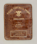 Welsh Rugby Union Players Badge