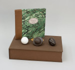 Golf Ball Book, The Gutta Ball Story By David Hamilton