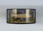 Taxidermy, Trout In Bow Fronted Case