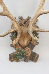 Pair Of Red Deer Antlers On Carved Shield
