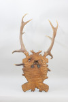 Pair Of Red Deer Antlers On Carved Shield