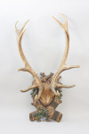 Pair Of Red Deer Antlers On Carved Shield