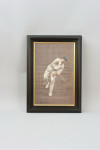 Six Cricket Prints By Chevallier-Tayler