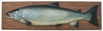 Carved Salmon Fish Trophy