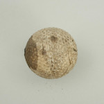 Bramble Golf Ball