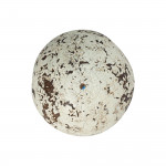 Antique Golf Ball, 'SunSpot'.