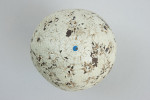 Antique Golf Ball, 'SunSpot'.