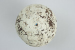 Antique Golf Ball, 'SunSpot'.