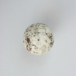 Antique Golf Ball, 'SunSpot'.