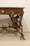 Unusual Antler Table