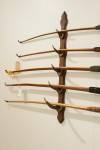 Vintage Display Of Archery Bows