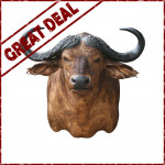 Cape Buffalo