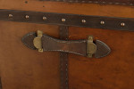 Leather And Zebra Skin Travelling Trunk