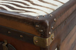 Leather And Zebra Skin Travelling Trunk