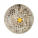 The Professional Golf Ball