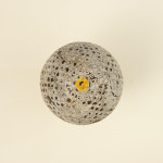 The Professional Golf Ball
