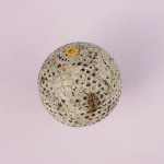 The Professional Golf Ball