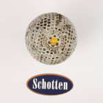 The Professional Golf Ball