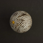 The Professional Golf Ball