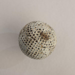 The Professional Golf Ball