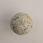 The Professional Golf Ball