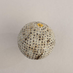 The Professional Golf Ball