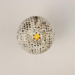 The Professional Golf Ball