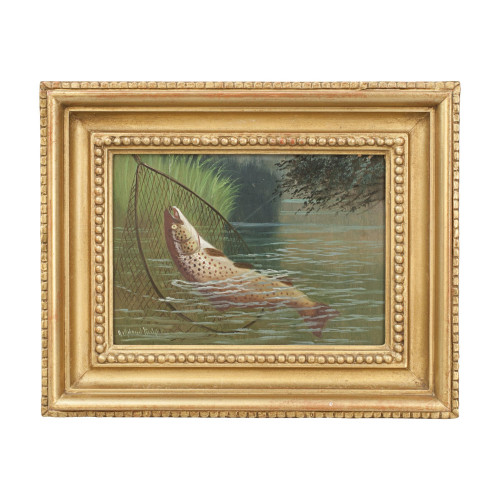 Fishing Oil On Board Of A Trout Being Landed