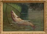 Fishing Oil On Board Of A Trout Being Landed