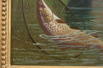 Fishing Oil On Board Of A Trout Being Landed