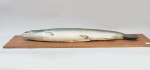 1970's Salmon Trophy Model