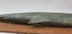 1970's Salmon Trophy Model