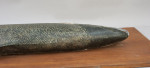1970's Salmon Trophy Model