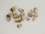 Collection Of Antique Dutch Colf, (Golf) Club Heads
