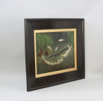 Fish Painting By Roland Knight