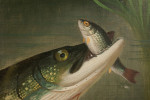 Fish Painting By Roland Knight