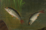 Fish Painting By Roland Knight