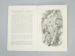 1865 Croquet Rules By Jaques
