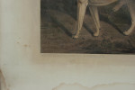 Thomas Sebright, Hunting Lithograph.