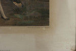 Thomas Sebright, Hunting Lithograph.