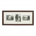 Trout Triptych Fishing Photogravure