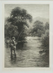 Trout Triptych Fishing Photogravure