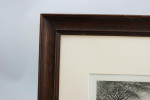Trout Triptych Fishing Photogravure