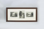 Trout Triptych Fishing Photogravure