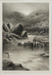 Salmon Triptych Fishing Photogravure