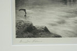 Salmon Triptych Fishing Photogravure
