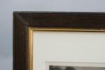 Salmon Triptych Fishing Photogravure