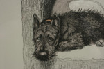 Artists Proof, Weight Will Tell, Cecil Aldin Dogs