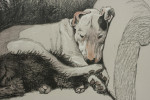 Artists Proof, Weight Will Tell, Cecil Aldin Dogs